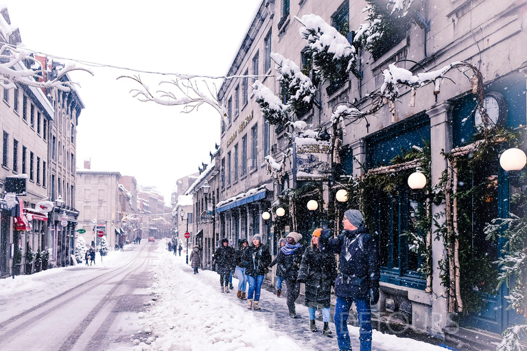 Explorez le Vieux Montréal - Visite à pied supplémentaire pour petits groupes