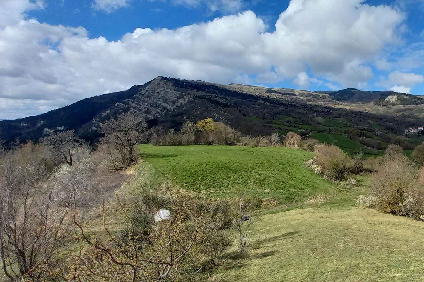 Guided hike on Mount Carpegna
