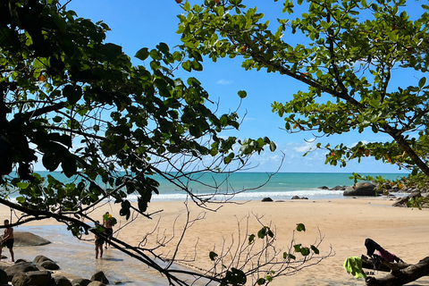 Khao Lak: Bamboo Rafting, Turtle Center & Temple Tour