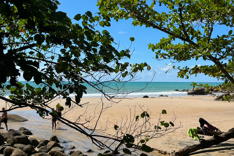 Khao Lak: Bamboo Rafting, Turtle Center & Temple Tour