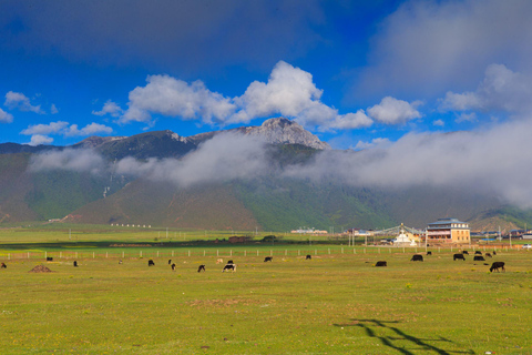 8-tägige Yunnan-Tour mit Kunming, Dali, Lijiang und Shangri-La