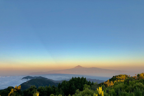 Teneriffa: 3-dagars segeltur till ön La Gomera