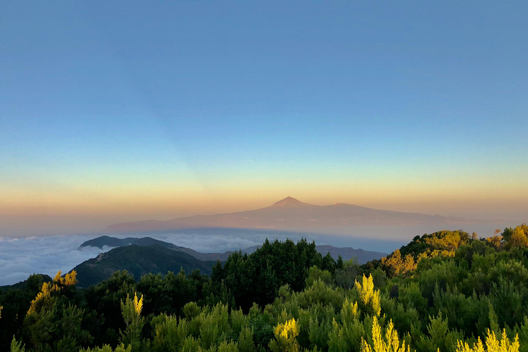 Teneriffa: 3-dagars segeltur till ön La Gomera