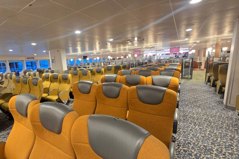 PanStar Busan Coastline Cruise & Sunset & Fireworks