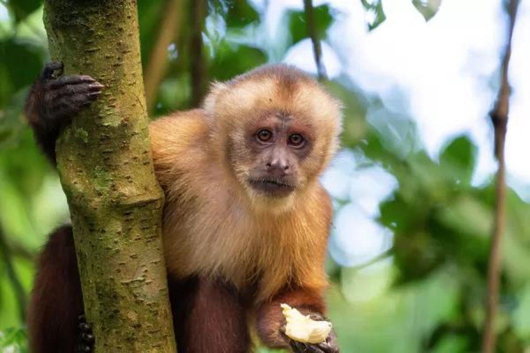 Puerto Maldonado: 2-Day Lake Sandoval Nature Tour