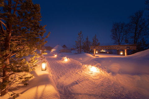 Vanuit Tromsø: Avond sneeuwscootertocht in Camp Tamok