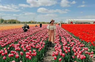 Amsterdam: Keukenhof, Besuch einer Tulpenfarm & Fahrt durch die Windmühlenlandschaft
