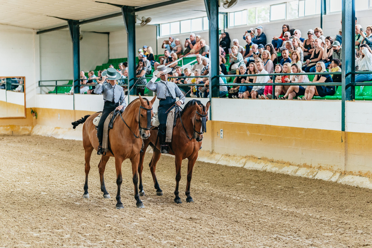 Malaga: Horse Show with Dinner, Drinks & Live Flamenco Show Only horse show with a bit of flamenco dancing