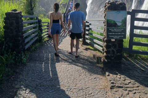 Victoria Falls: Zambezi River Cruise and Rhino Encounter