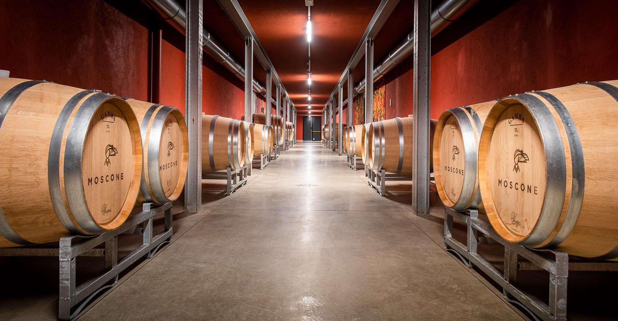 Suitetrails - The Madama, Wine tasting in La Morra