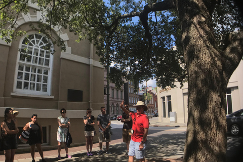 Historic Charleston Walking Tour: History & Landmarks