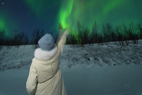 From Kiruna: Abisko National Park Northern Lights Tour