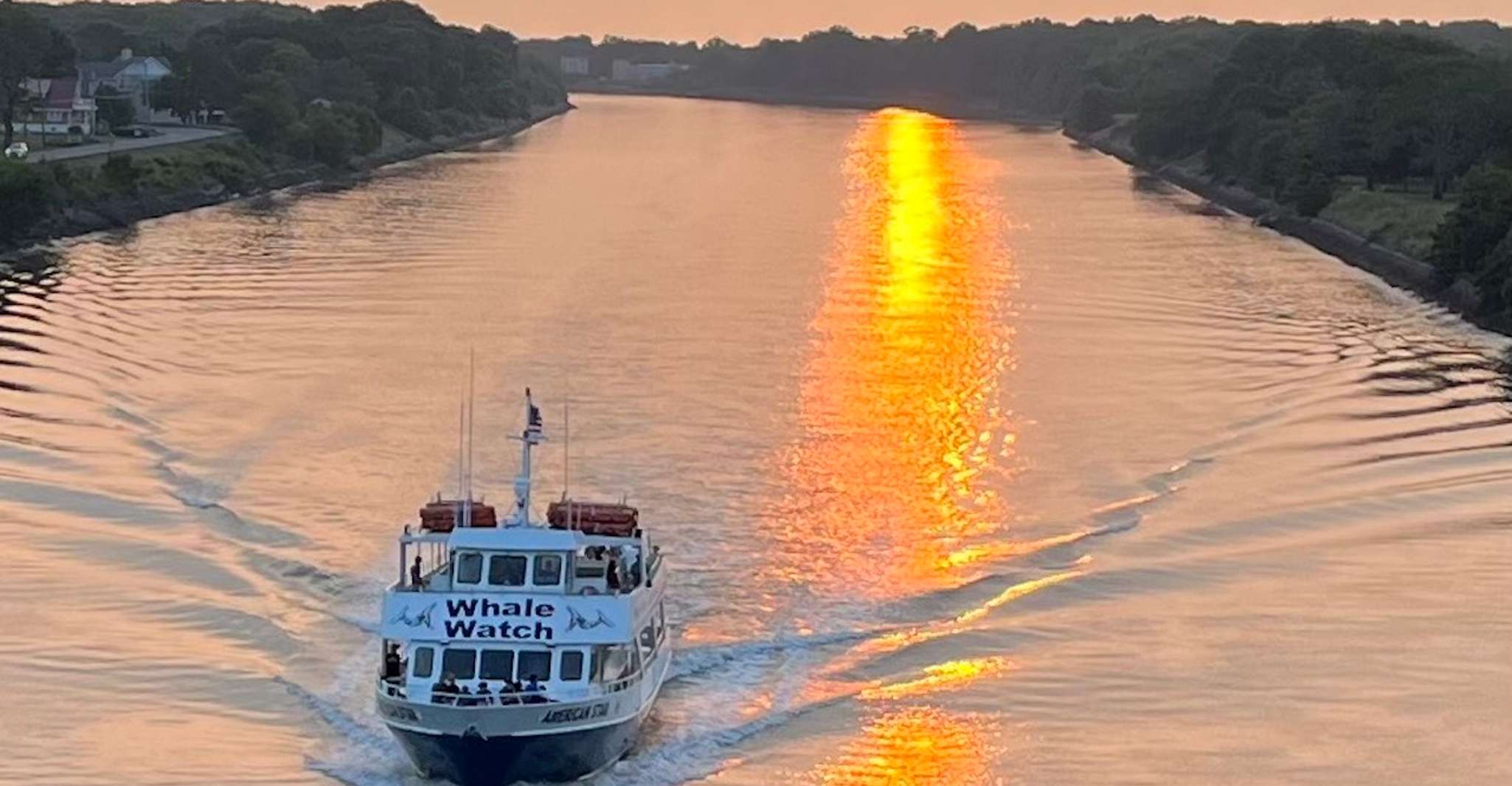 Cape May, Sonnenuntergang Dolphin beobachten Kreuzfahrt mit Lebensmitteln - Hizvo