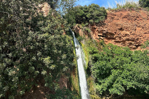 Desde Albufeira: Excursión de medio día en jeep por el campo