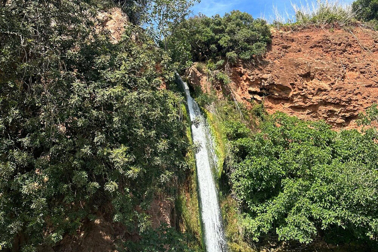 Albufeira: Jeepsafari i Alte, Paderne och Messines