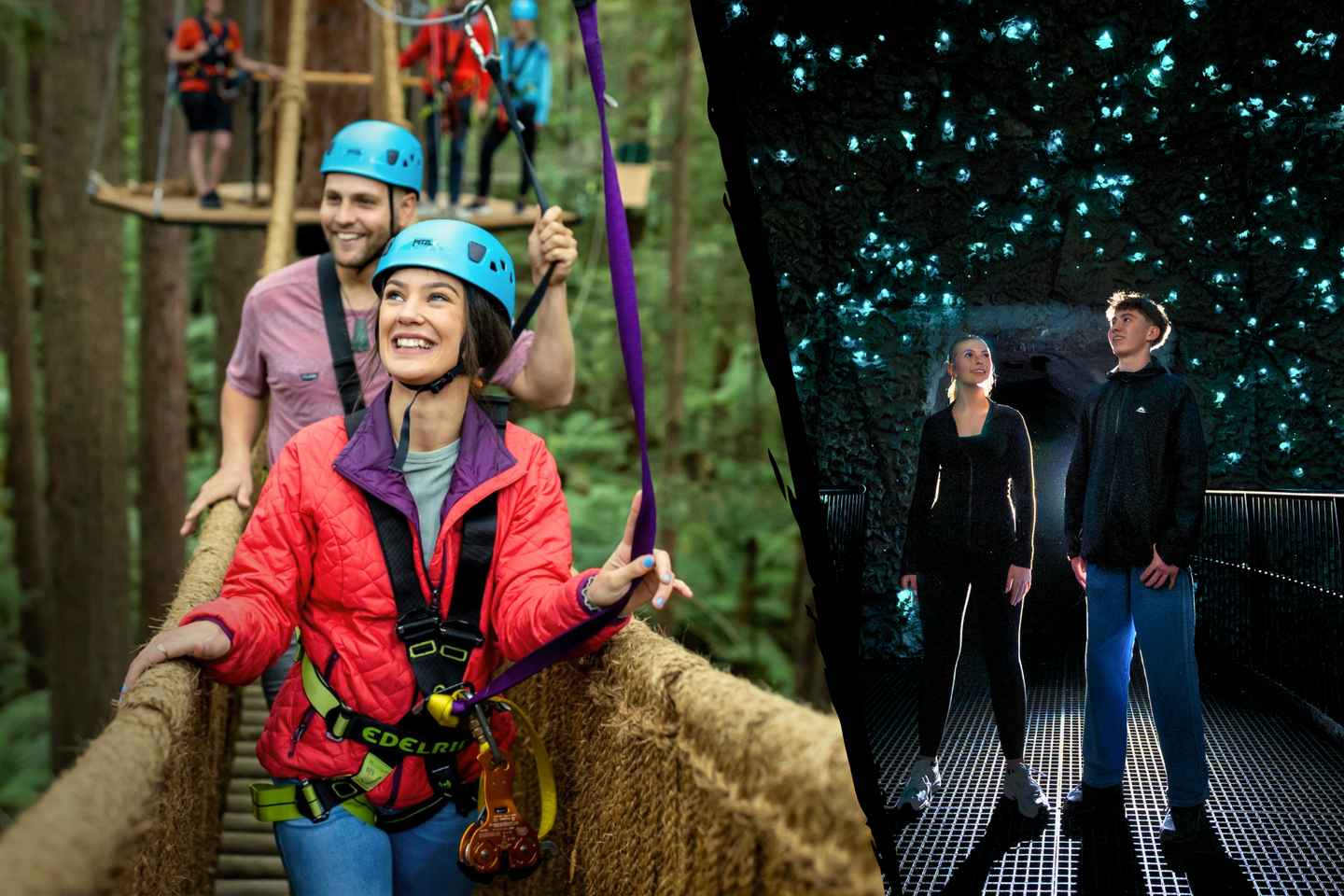 Redwoods Altitude High Ropes & Ziplines + Glowworms, Rotorua - Redwoods Altitude High Ropes & Ziplines + Glowworms, Rotorua