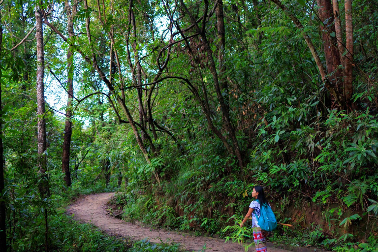 Chiang Mai: 3-Day Karen Hill Tribe Immersion with Trekking