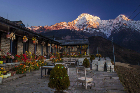 Från Kathmandu: 6-dagars vandring i Poon Hill och Ghandruk Circuit