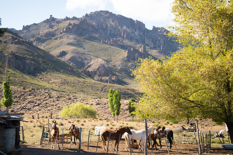 Sunset Horseback Ride in Villa Llanquin, Bariloche