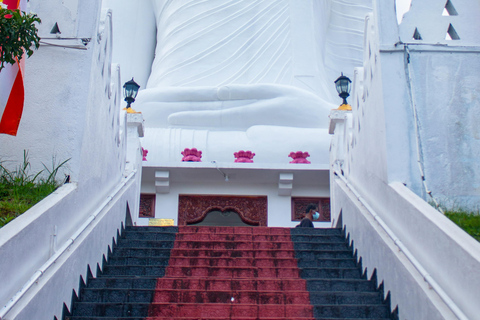 Sri Lanka: 10-Day Guided Tour with Airport Pickup