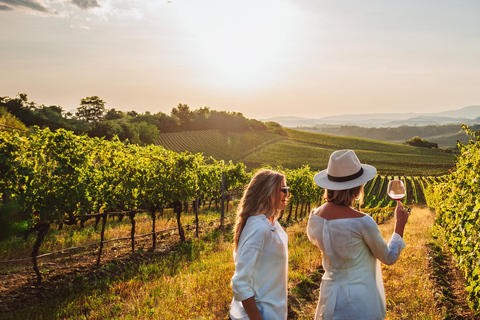 Von Palma de Mallorca aus: Private Tour zu Wein und lokalen Aromen