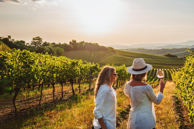 Desde Palma de Mallorca: Tour Privado de Vinos y Sabores Locales