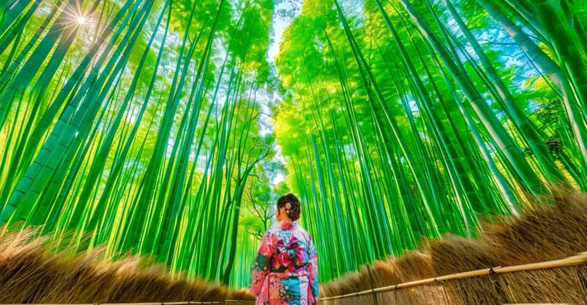 Kyoto: Family-Friendly Private Tour with Driver-Guide