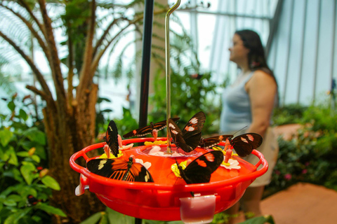 Nouvelle-Orléans : Billet pour l'Aquarium et l'Insectarium Audubon