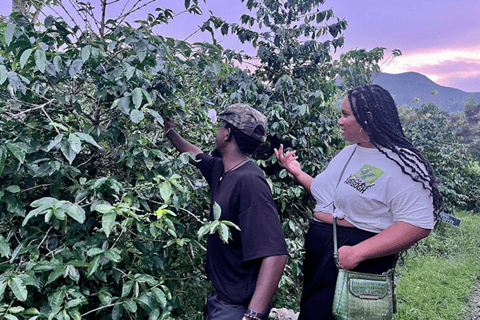 experiencia del café y excursión a la isla napoleón en el lago kivu