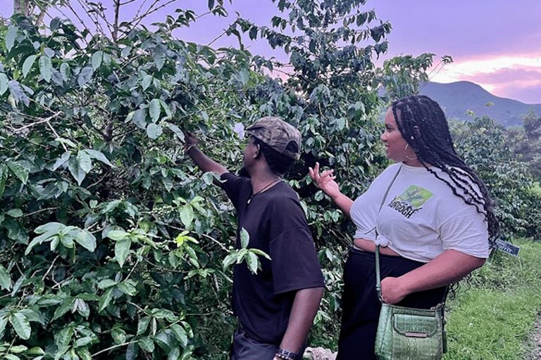 experiencia del café y excursión a la isla napoleón en el lago kivu