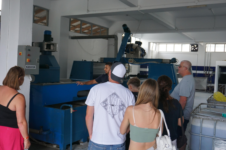 Crète : Visite de 2 vignobles avec dégustation de vin, huile d'olive et déjeuner
