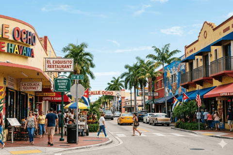 Miami: Full day Private City Tour with Port/Airport Drop off