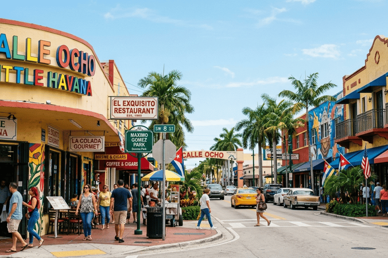 Miami: Full day Private City Tour with Port/Airport Drop off