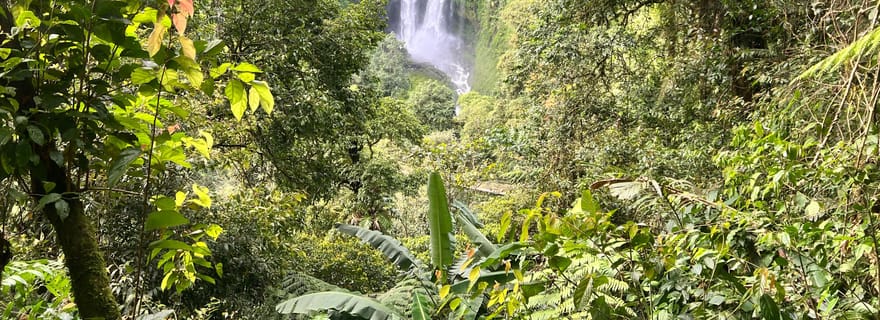Jakarta : randonnée dans la forêt tropicale jusqu'à une cascade et un pont suspendu