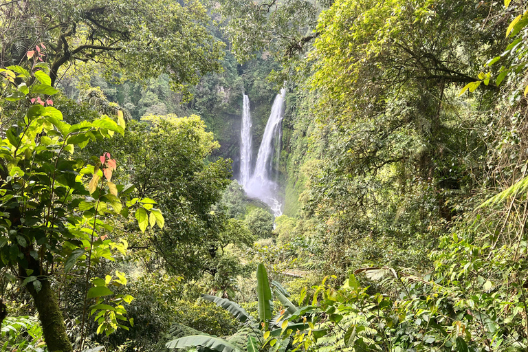 Jakarta: Regenwaldwanderung zu Wasserfall und HängebrückeKurze Wanderung (1,5 km)