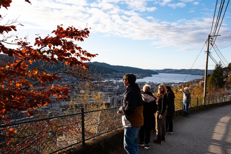 Bergen: Recorrido en minibús por los lugares más pintorescos de la ciudad