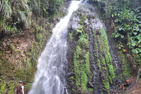 Island Tours: St. Vincent & the Grenadines - Dark View Falls