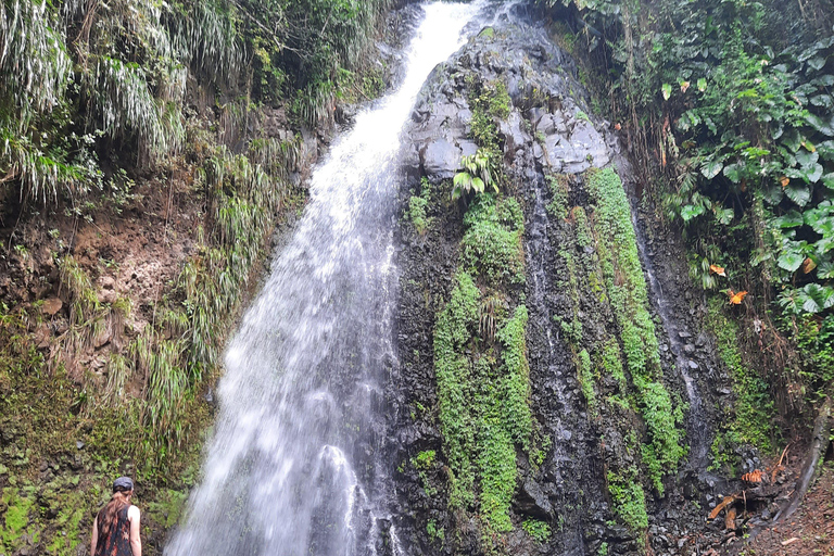 Island Tours: St. Vincent & the Grenadines - Dark View Falls