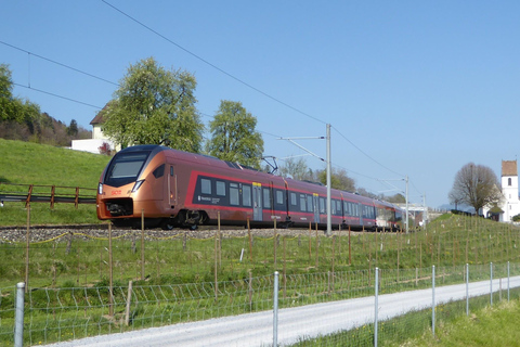 Voralpen-Express: Journey between St. Gallen & Rapperswil One-way ticket from Rapperswil to St. Gallen (1st class)