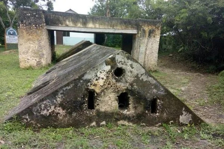 زنجبار: جولة في كهف مانجابواني المرجاني وغرفة الرقيقزنجبار: جولة في كهف مانجابواني المرجاني وغرفة 