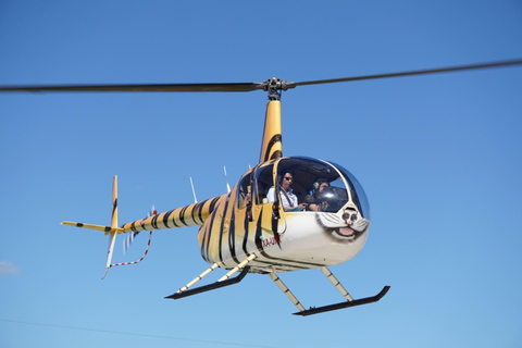 Playa del Carmen: Passeio de helicópteroPasseio de helicóptero em Playa del Carmen