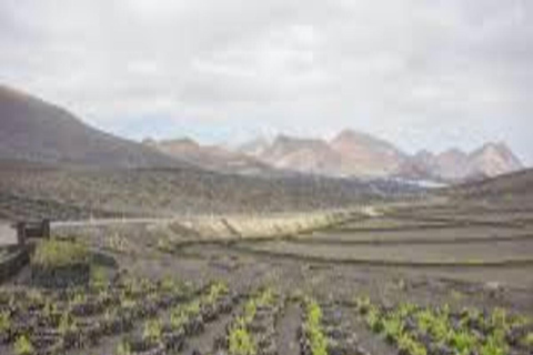 Lanzarote Premium Excursion Lanzarote Premium Excursion 8h