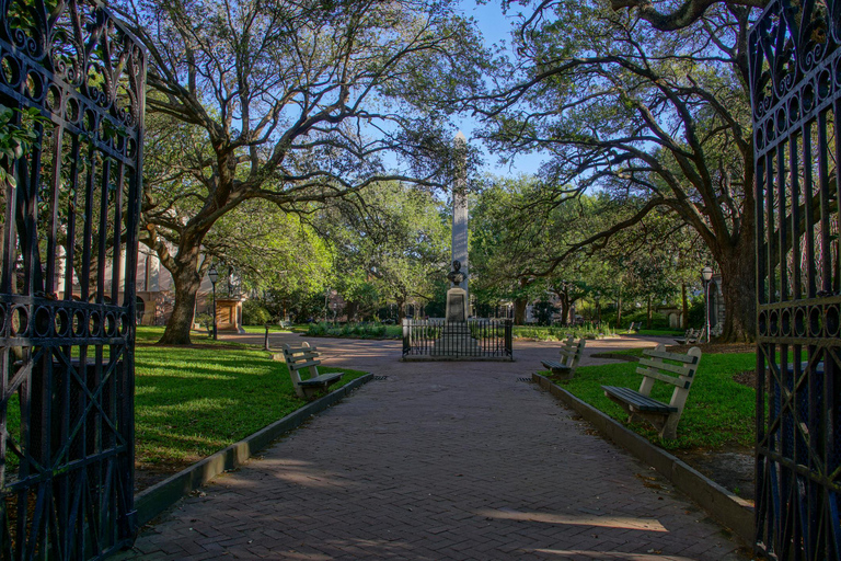 Charleston Family Chronicles: A Walk Through History