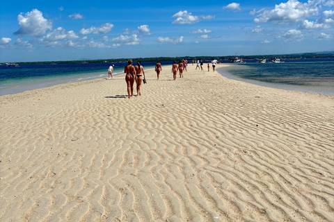 Lombok: Pink Beach & Gili Islands Private Snorkeling Tour