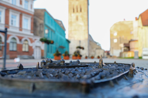 Sightseeing Transfer from Riga to Tallinn