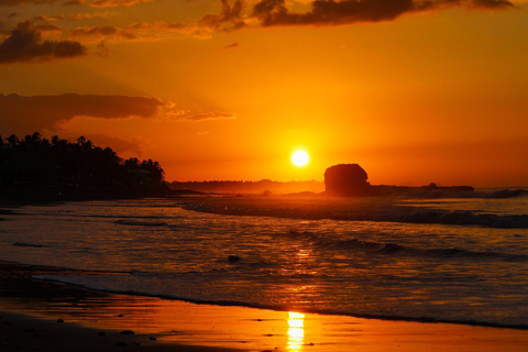 From San Salvador: El Tunco Beach Club & Surf City Day Trip