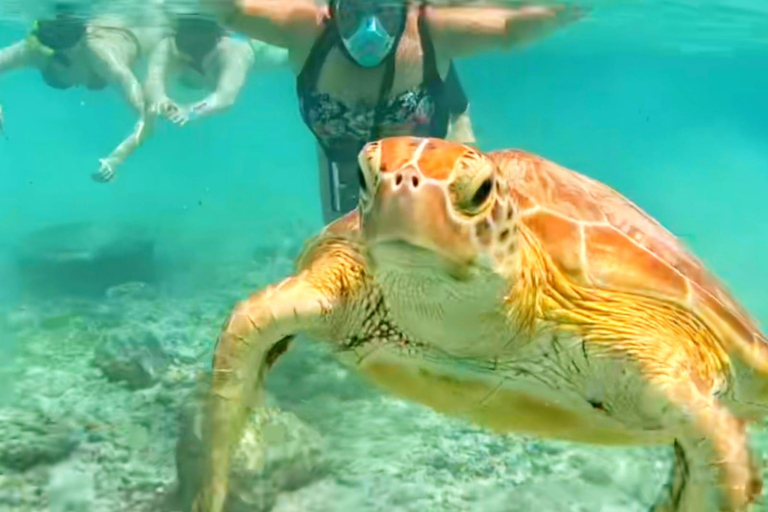 Bali: Gili Island Snorkeling Tour Include Fast Boat Go/Back