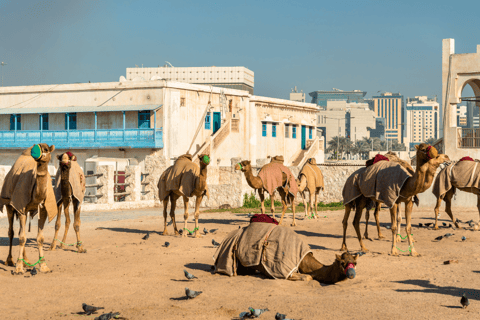 Doha: Destaques da cidade Tour particular para passageiros dos cruzeiros da MSC