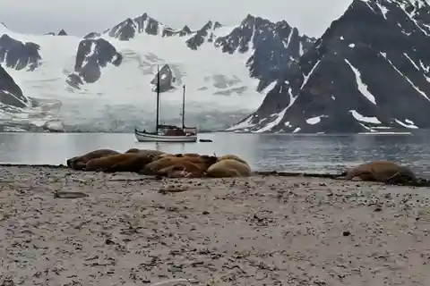 Longyearbyen: 10-Day Spitsbergen Cruise on Havella Boat