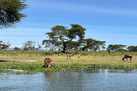 "Lake Naivasha Day Trip & Scenic Boat Ride Adventure"